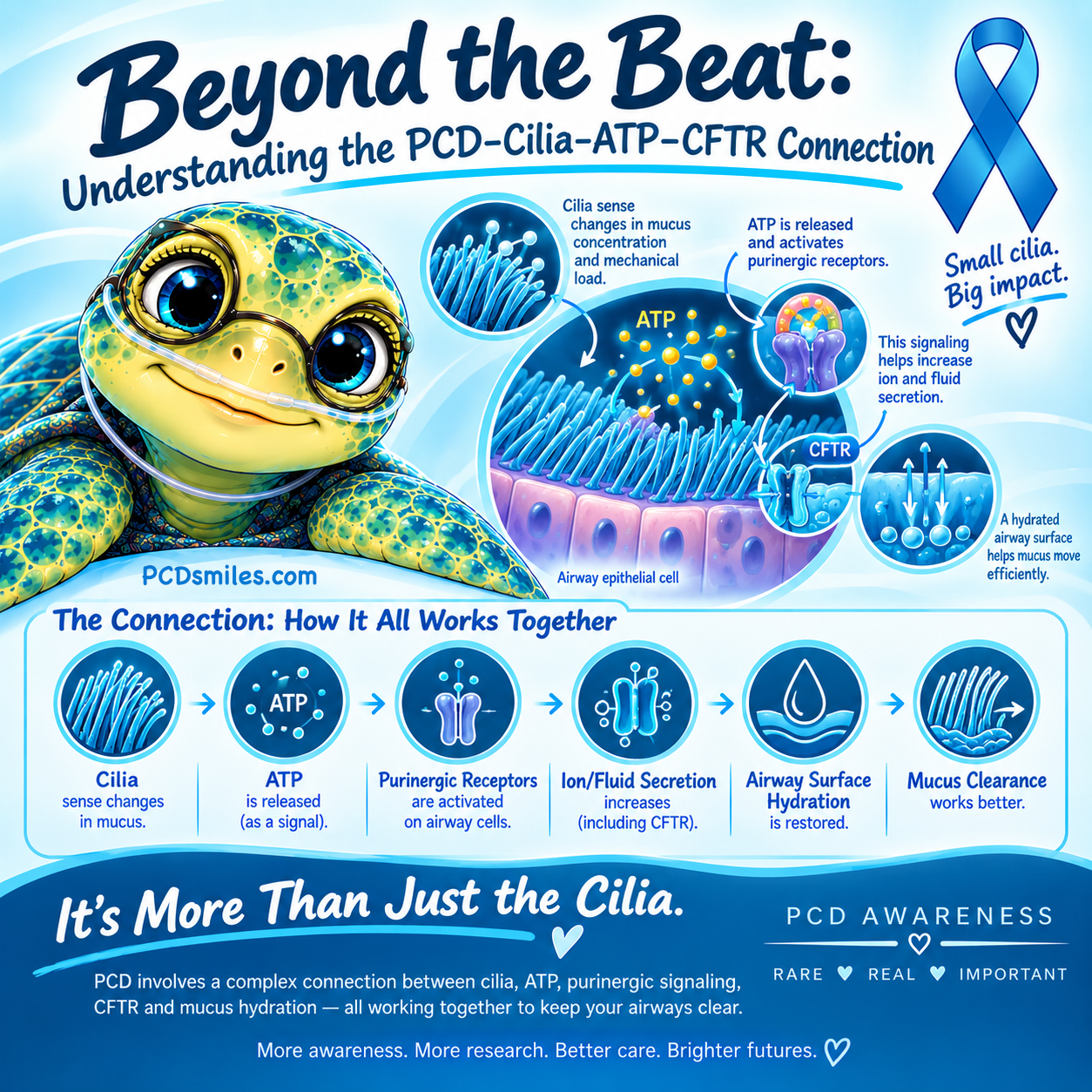 Beyond the Beat: Understanding the PCD–Cilia–ATP–CFTR Connection