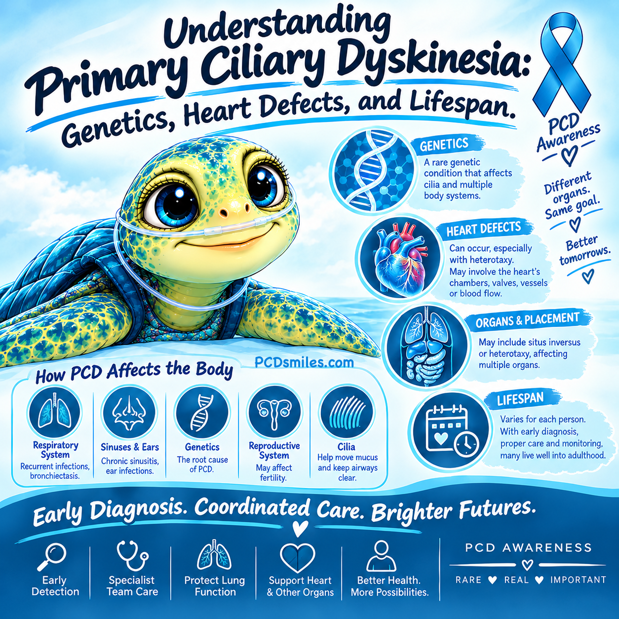 Understanding Primary Ciliary Dyskinesia: Genetics, Heart Defects, and Lifespan