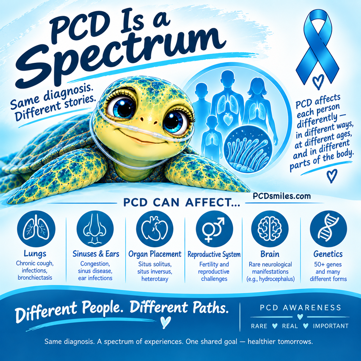 PCD Is a Spectrum