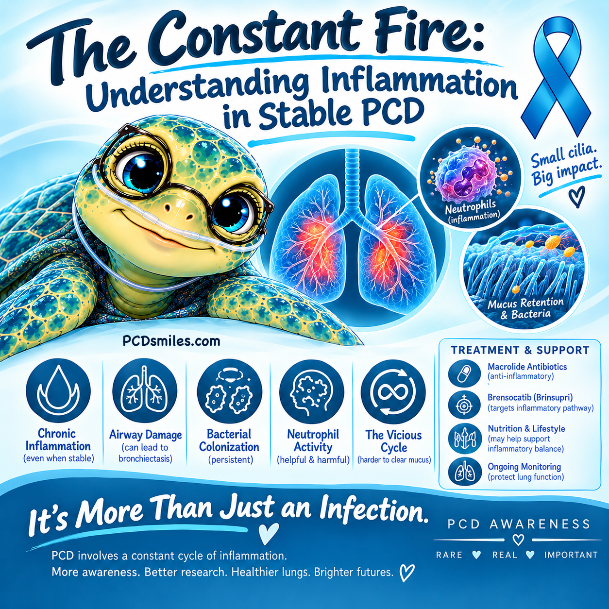 The Constant Fire: Understanding Inflammation in Stable PCD